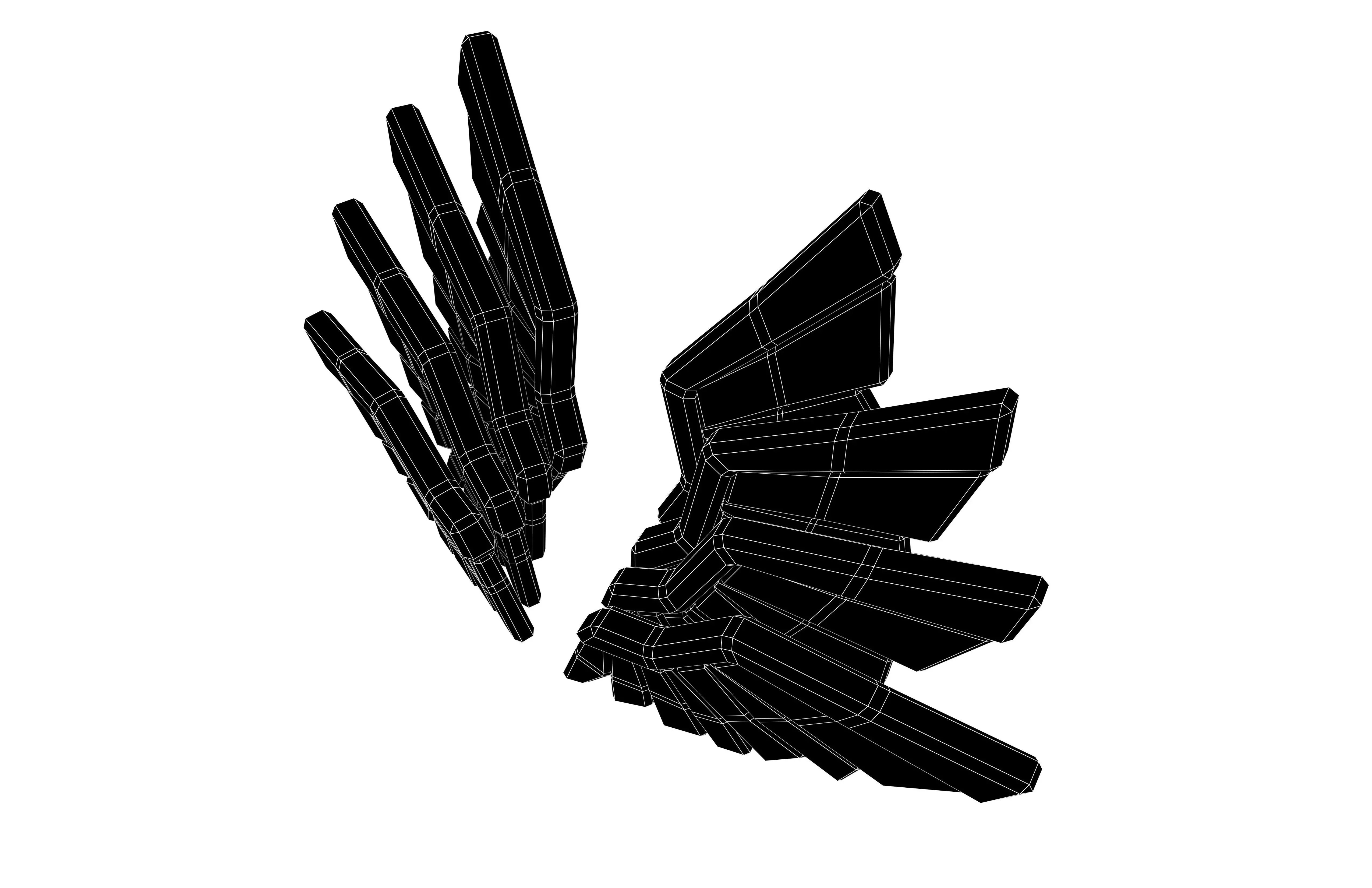 Low Poly Wings v11 004 Low-poly 3D model_6