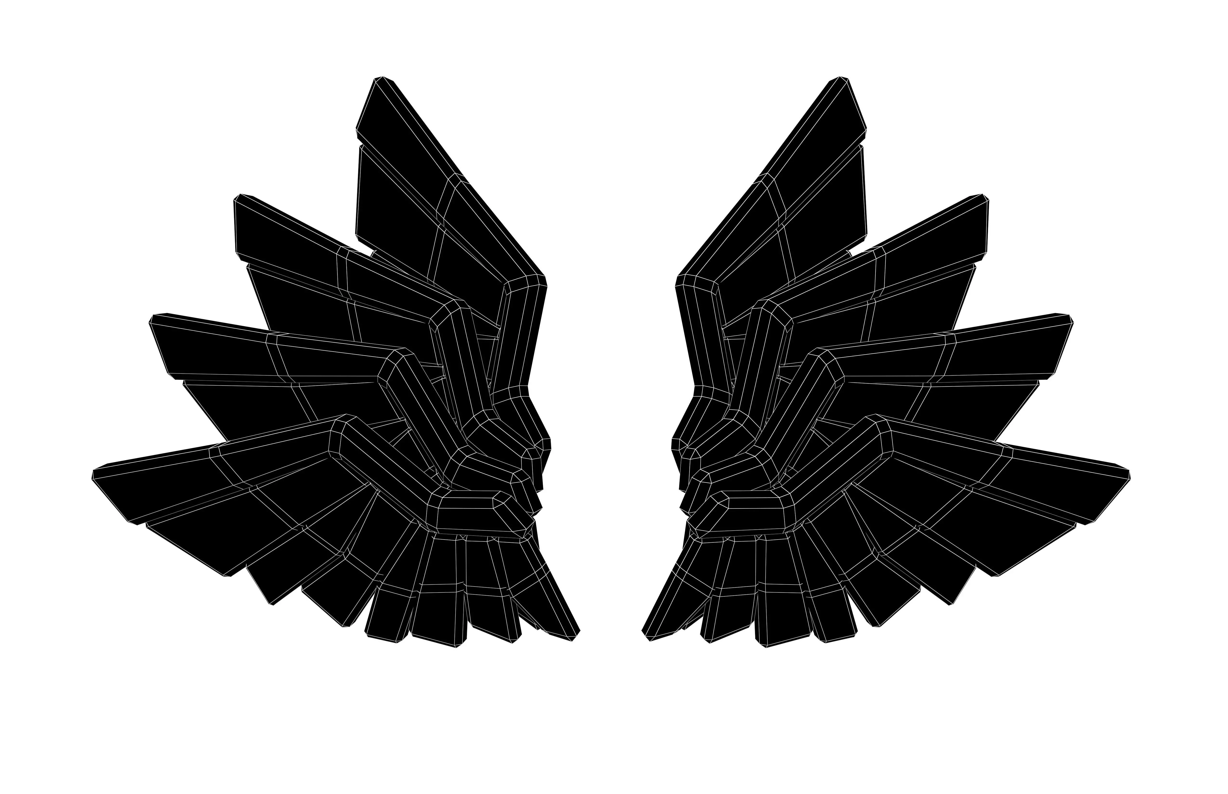 Low Poly Wings v11 004 Low-poly 3D model_5