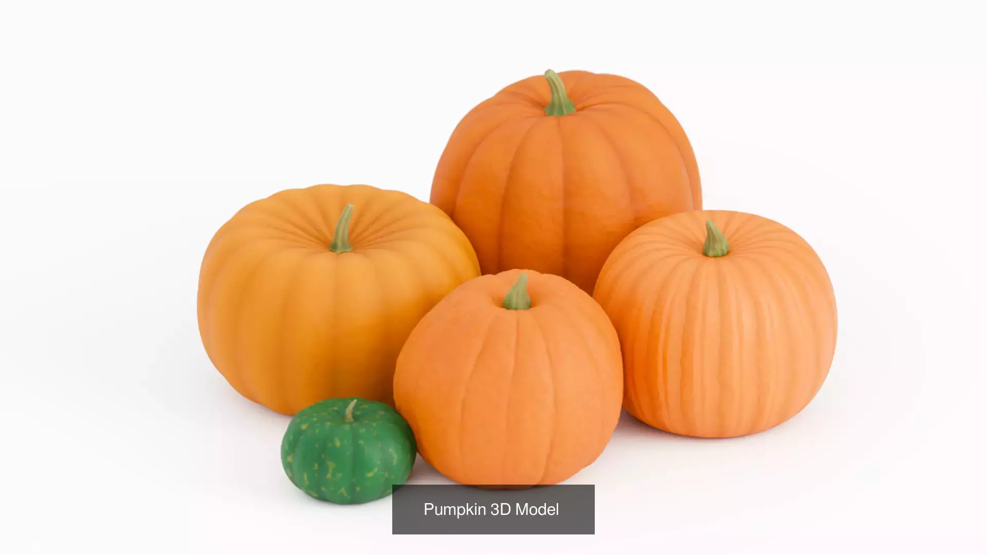 Autumn Collection _3