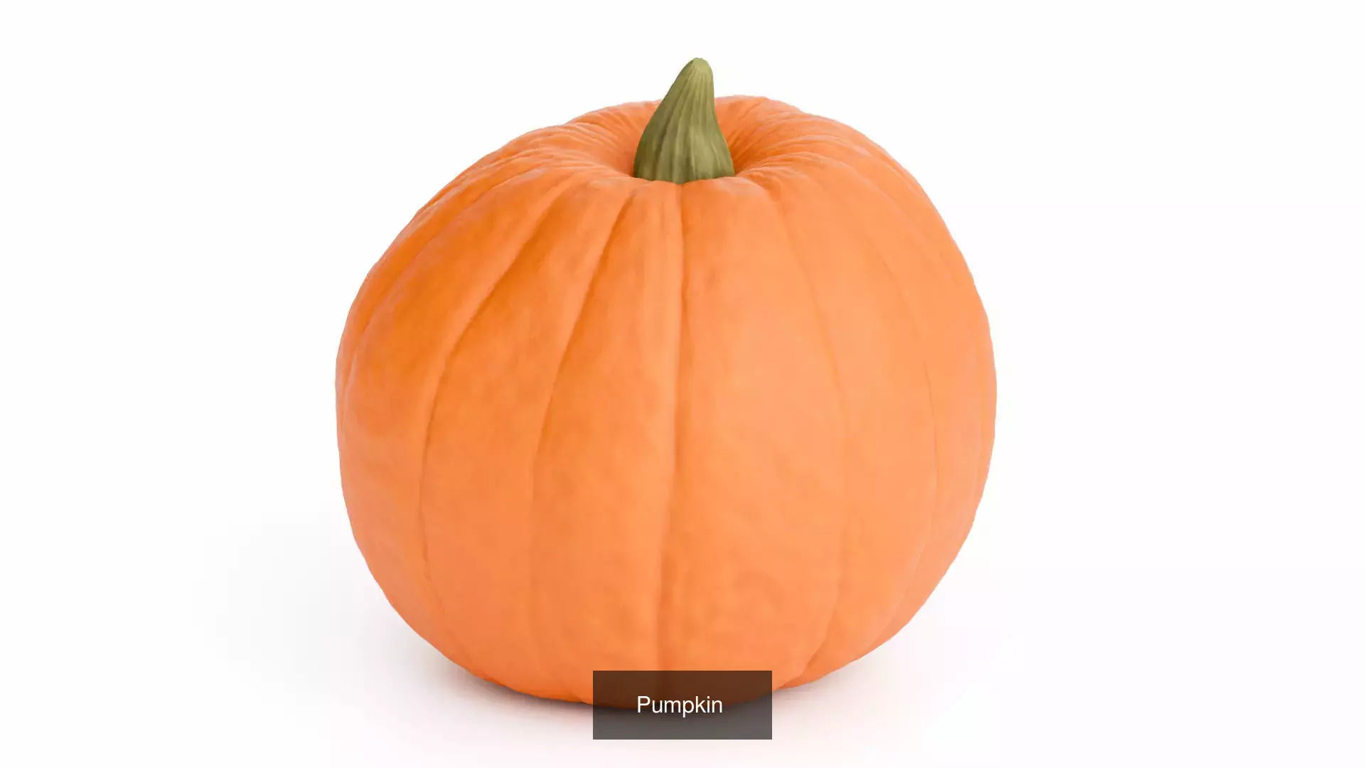 Autumn Collection _7