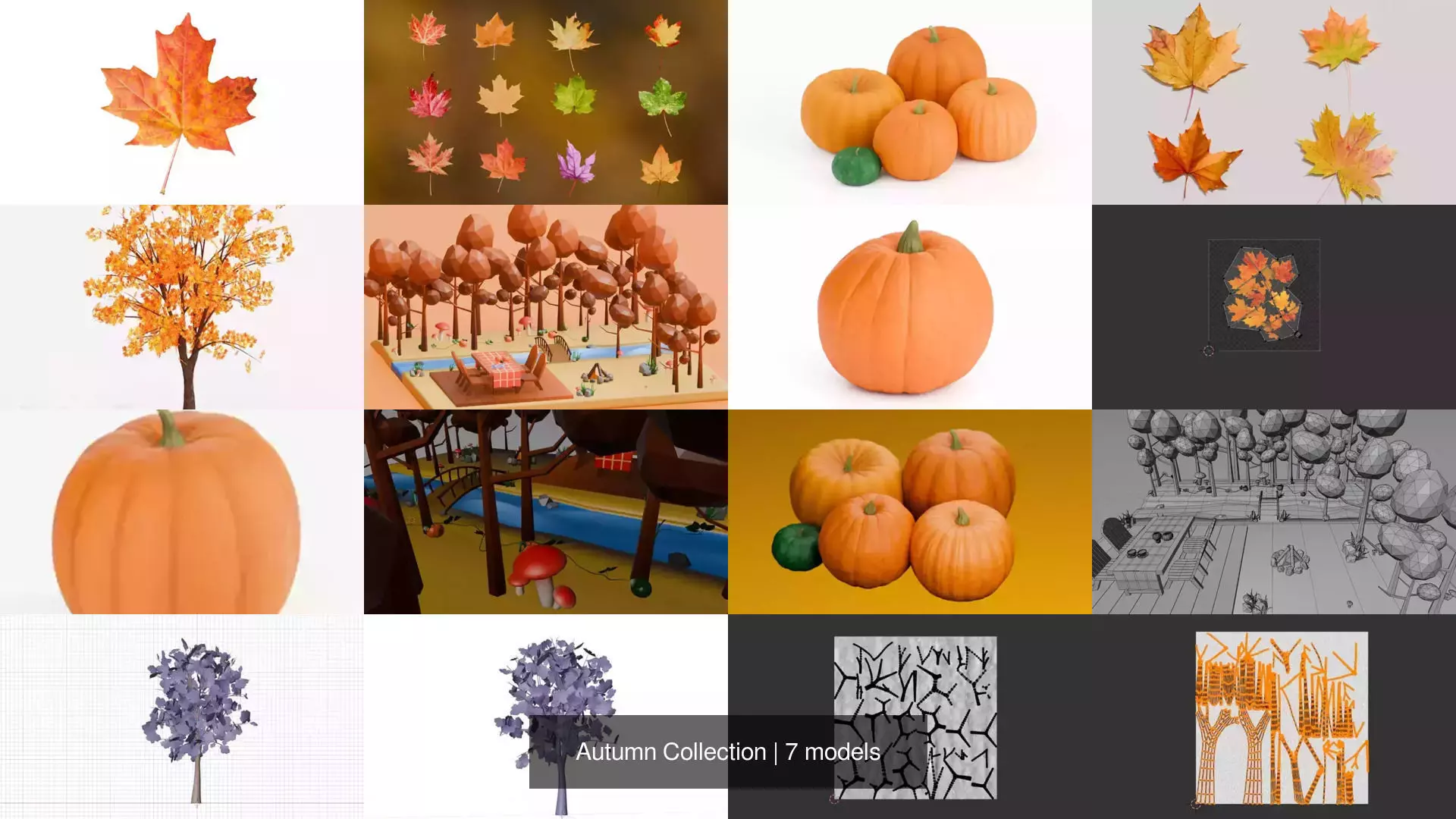 Autumn Collection _0