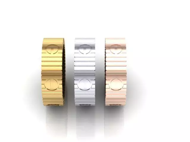 Unlimited fusion ring  3D print model_2