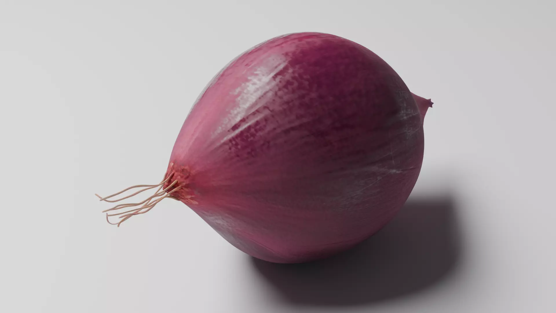 Shallot 3D model_5