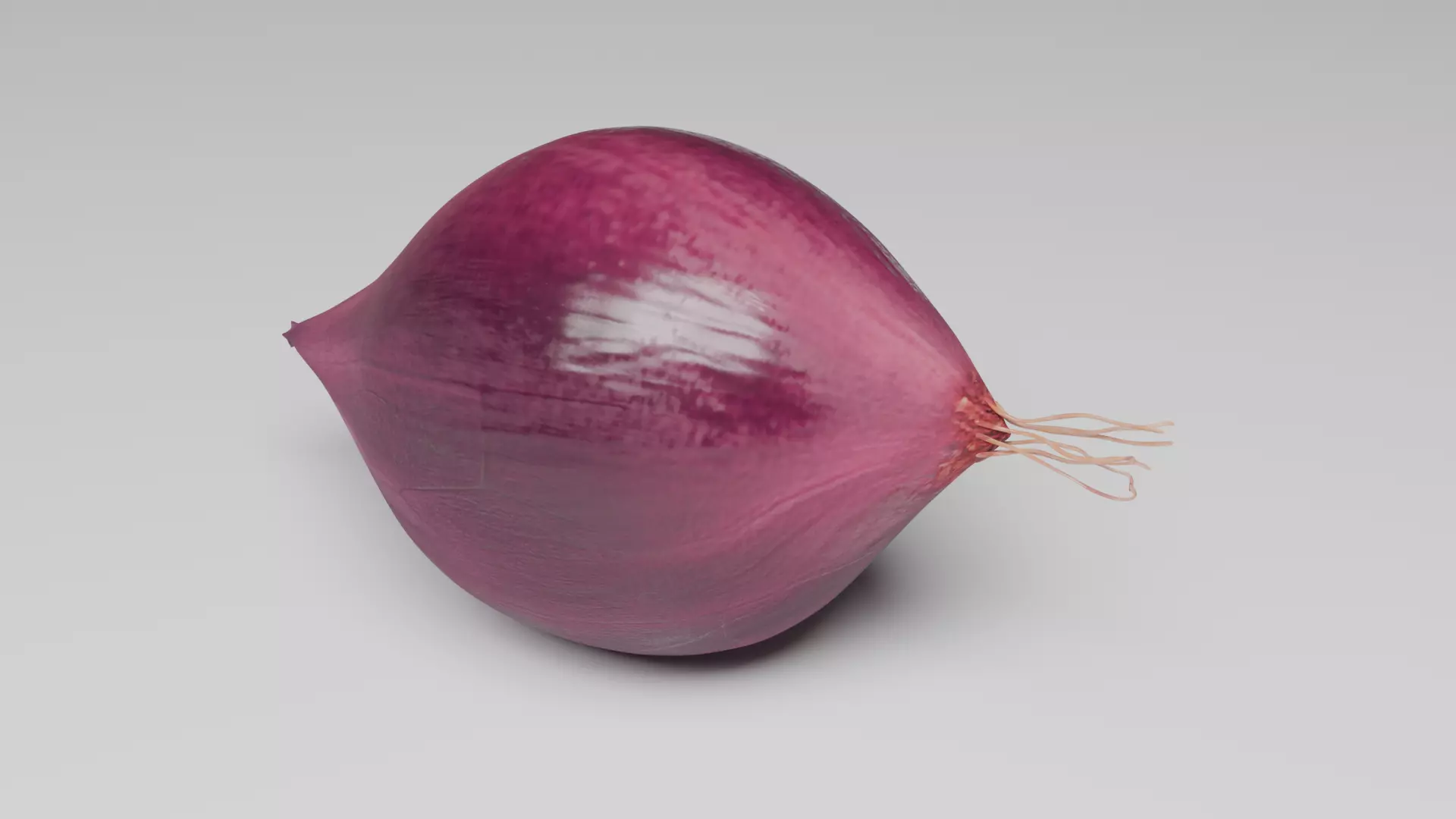 Shallot 3D model_1
