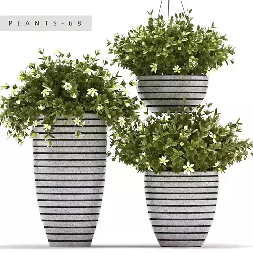 plants set 68