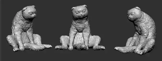 Scottish Fold Cat  Realistic Sitting 3D Model