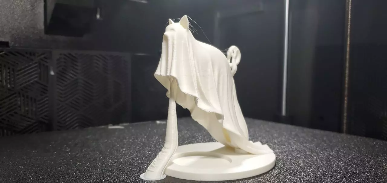 Ghost Floating Cat 3D print model_6