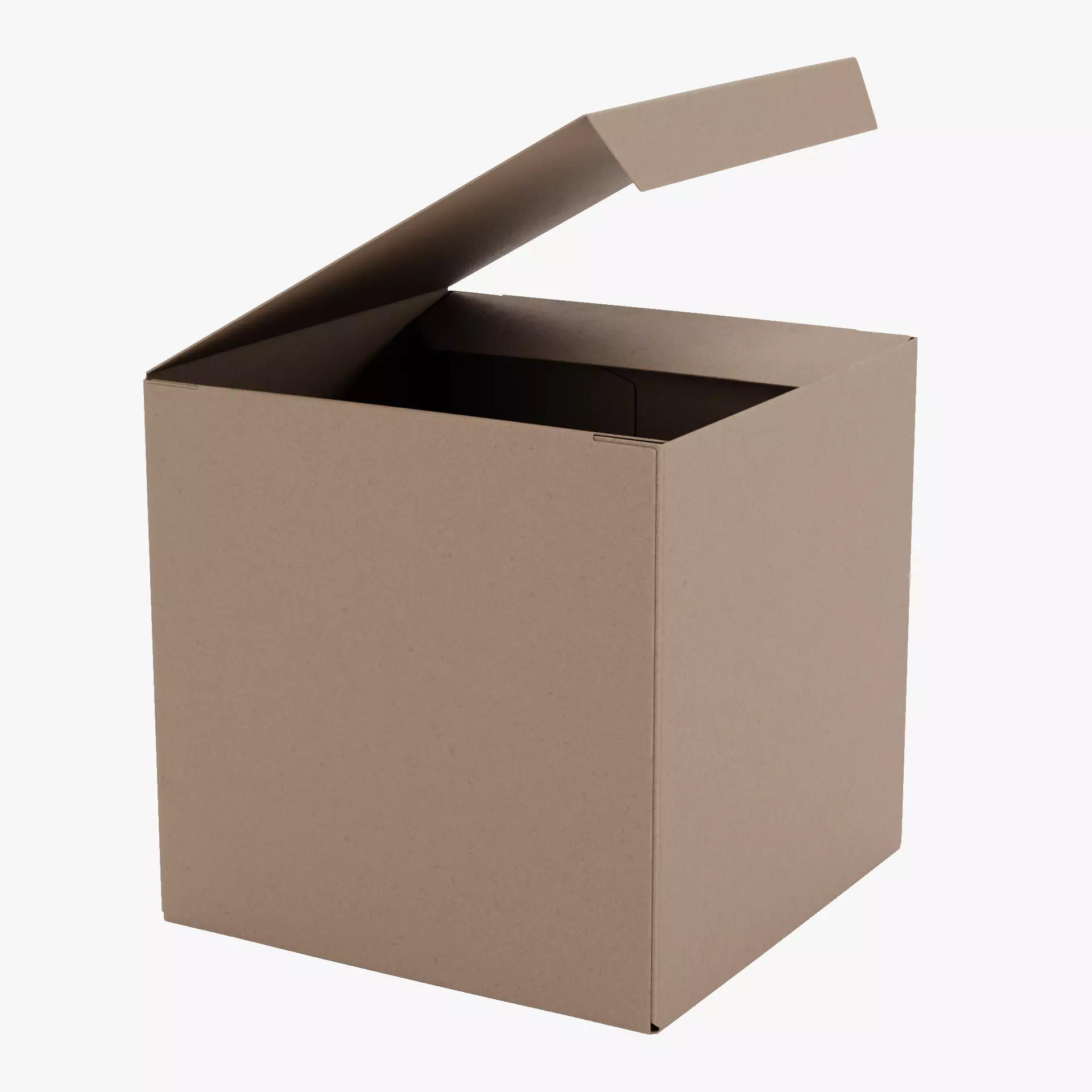 -Carboard Box V1 Rigged- Low-poly 3D model_16