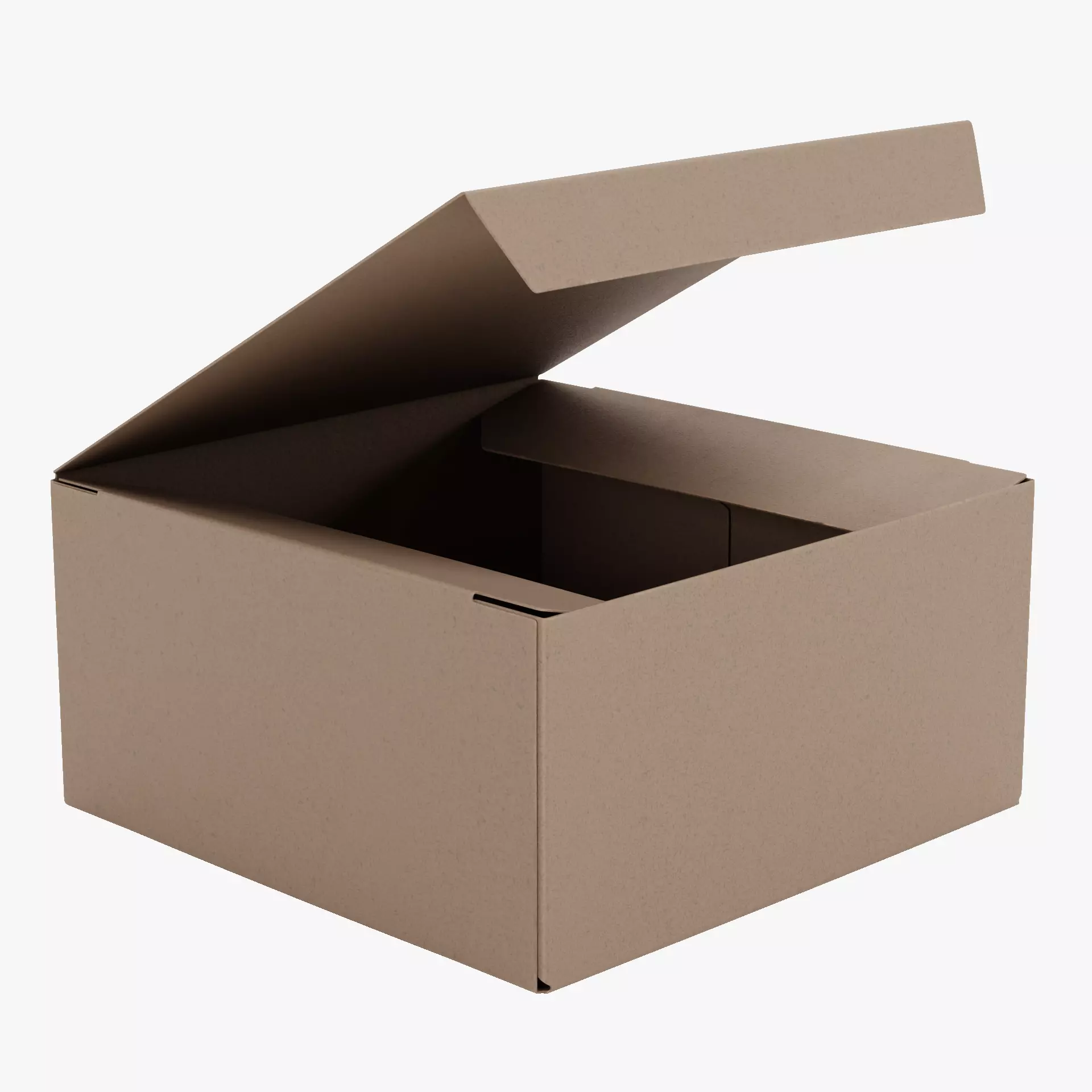 -Carboard Box V2 Rigged- Low-poly 3D model_15