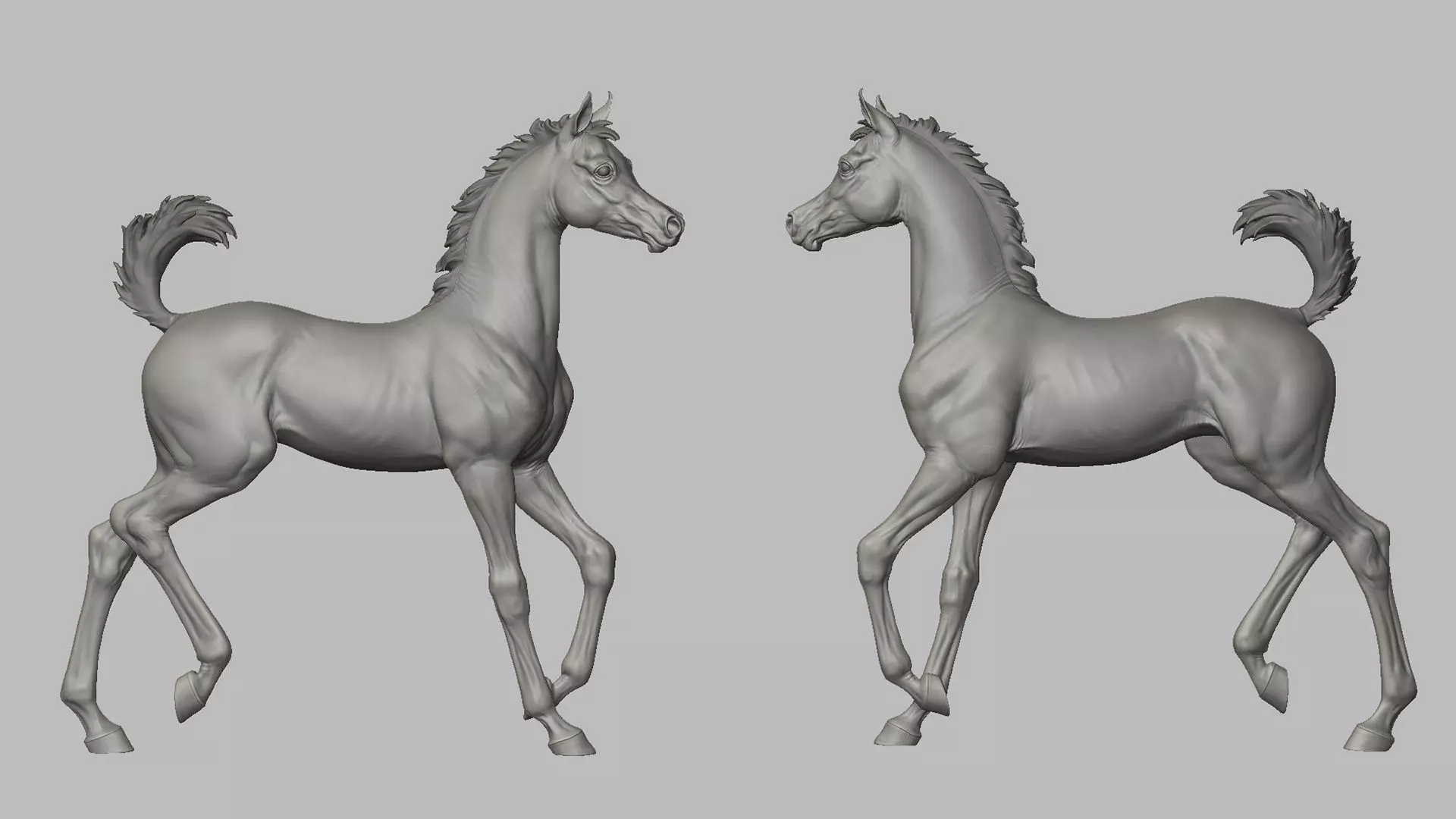 Arab Foal running I 3D Sculpting 3D print model_6