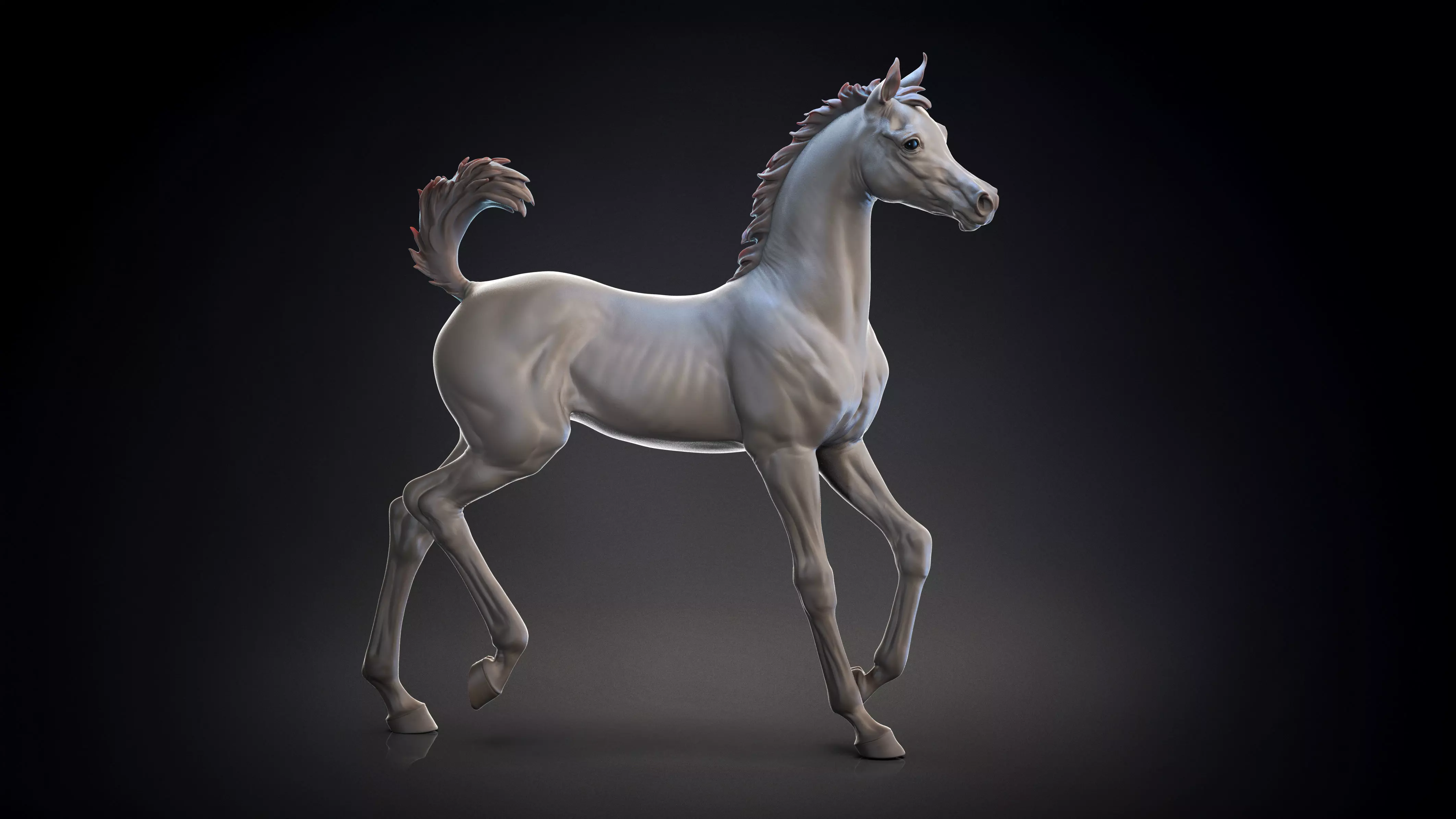 Arab Foal running I 3D Sculpting 3D print model_0