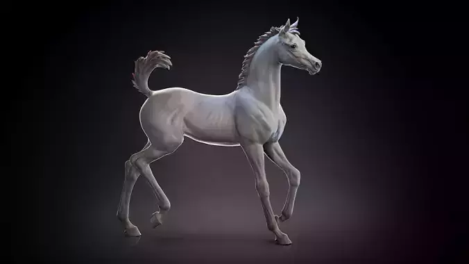 Arab Foal running I 3D Sculpting