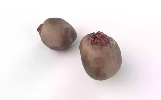 Beet  M01 Low-poly 3D model 6