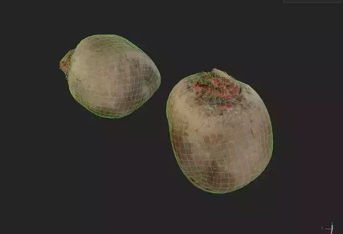 Beet  M01 Low-poly 3D model 7