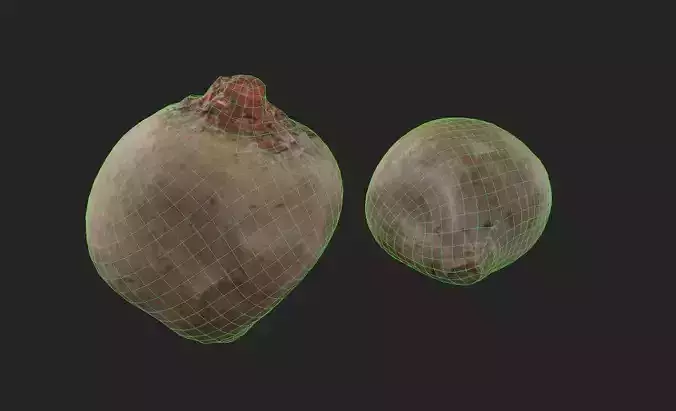 Beet  M01 Low-poly 3D model 2