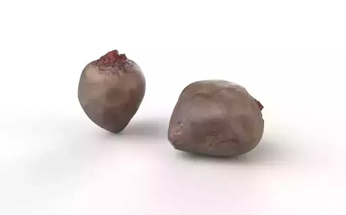 Beet  M01 Low-poly 3D model 4