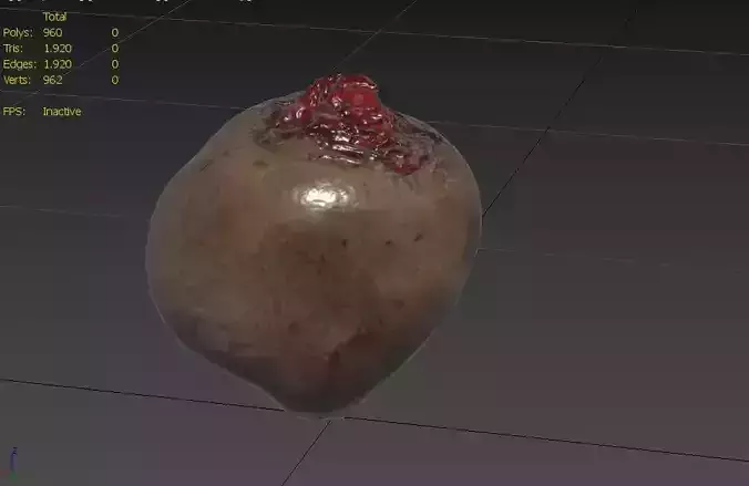 Beet  M01 Low-poly 3D model 3