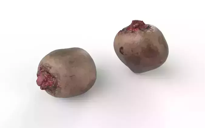 Beet  M01 Low-poly 3D model 5