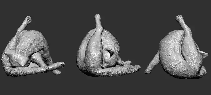 Grooming Cat  Realistic 3D Printable Model