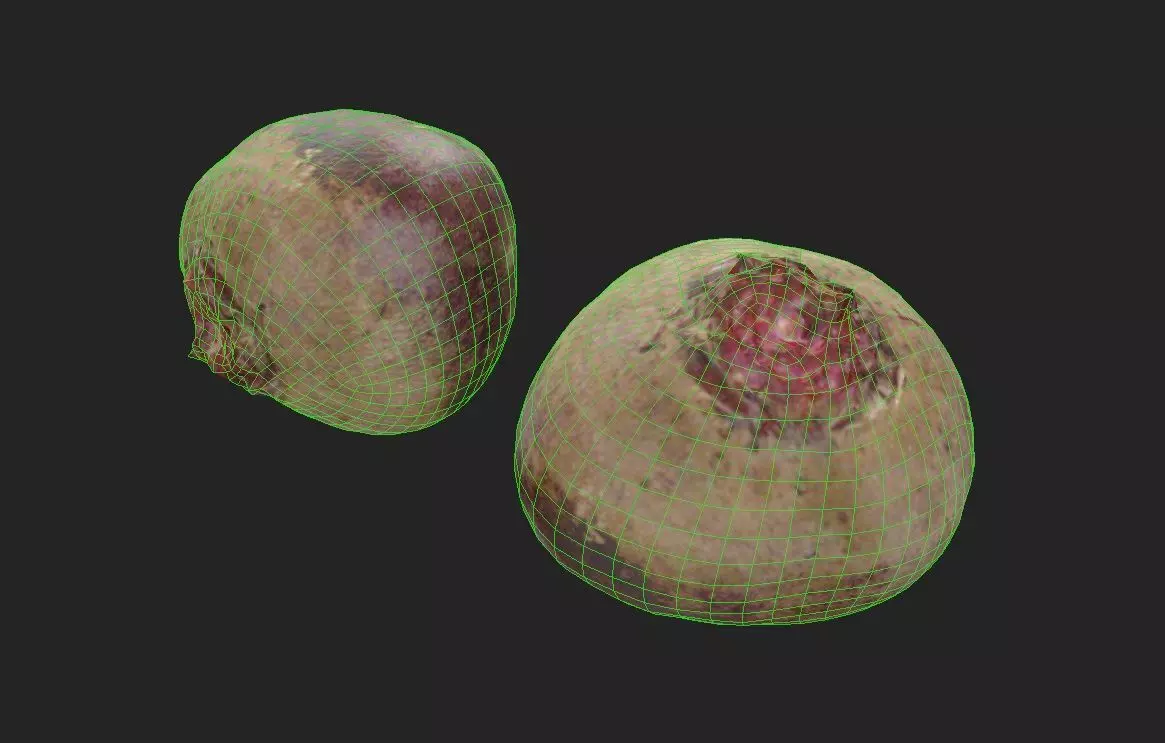 Beet M04 Low-poly 3D model_6