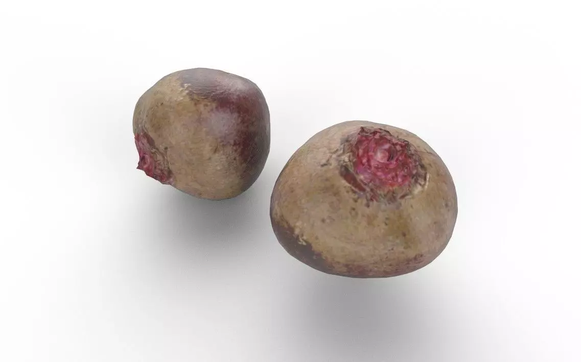 Beet M04 Low-poly 3D model_5