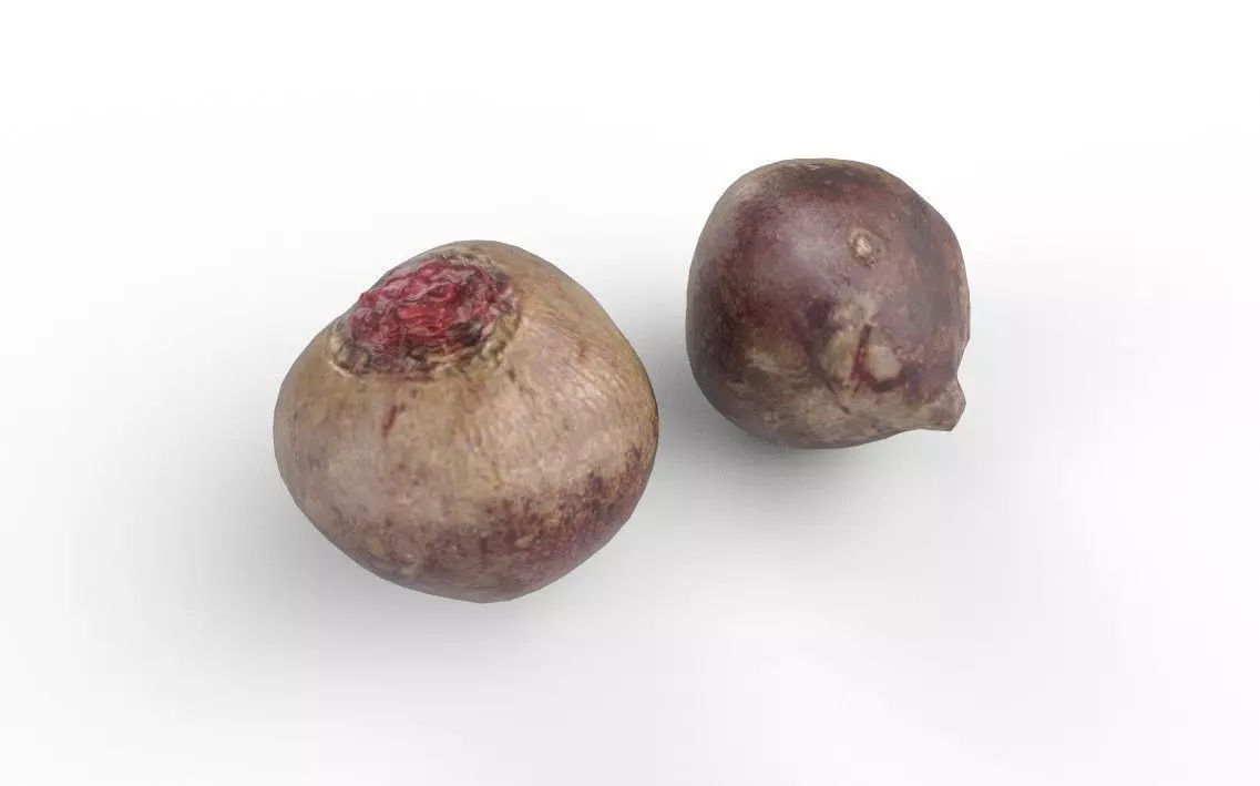 Beet M04 Low-poly 3D model_0