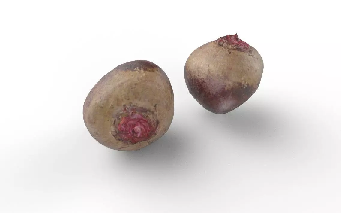 Beet M04 Low-poly 3D model_4