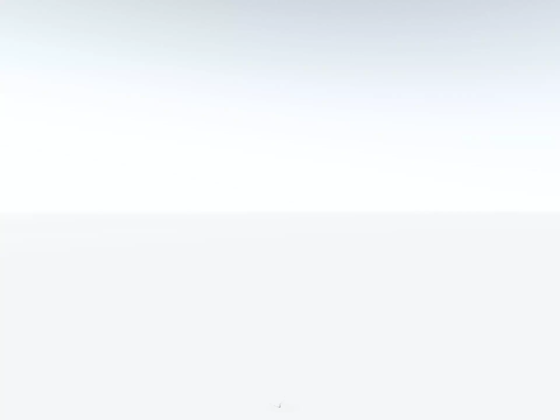 EVERYPlant Black Tree Fern LowPoly Low-poly 3D model_30