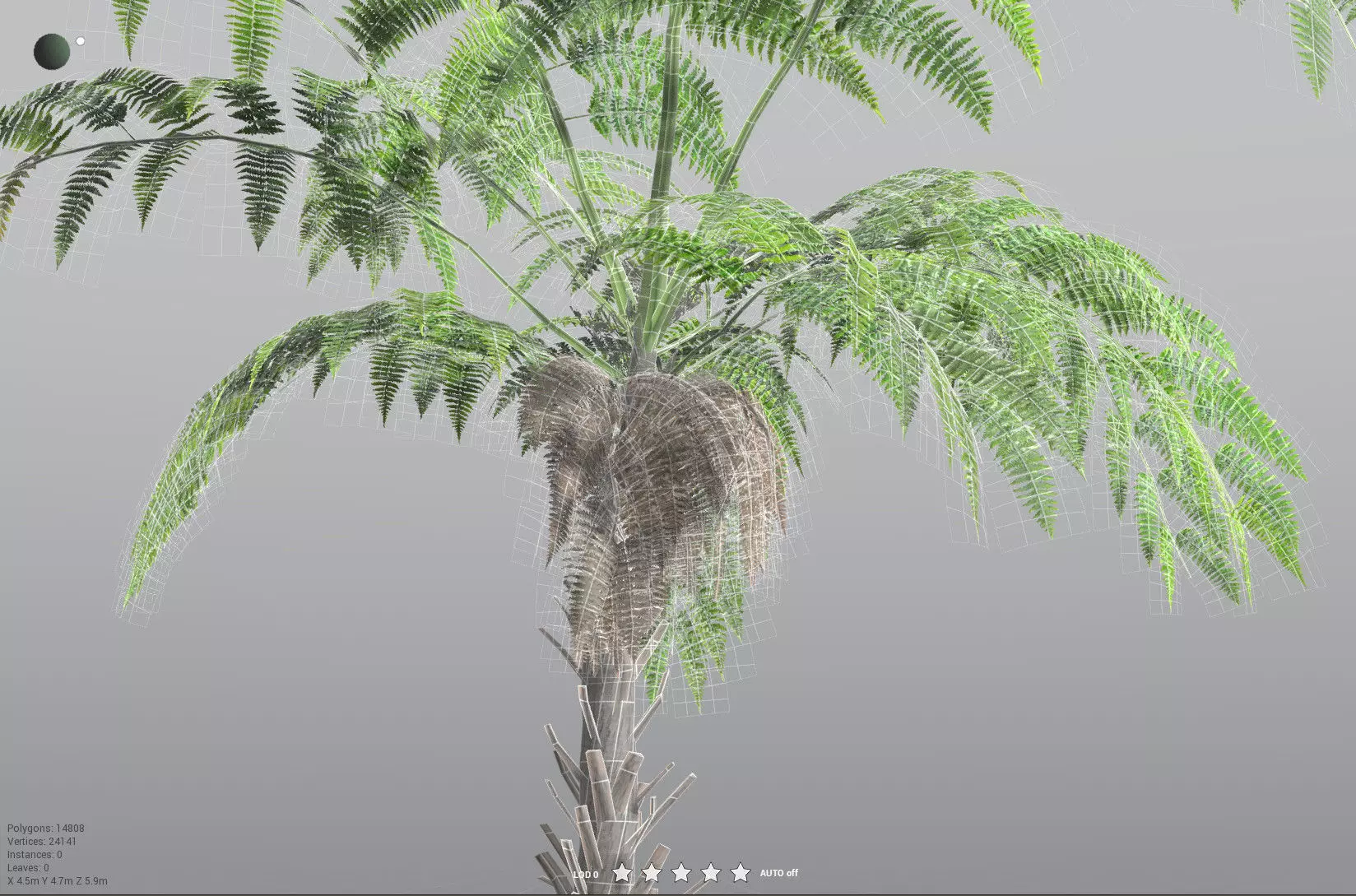 EVERYPlant Black Tree Fern LowPoly Low-poly 3D model_33