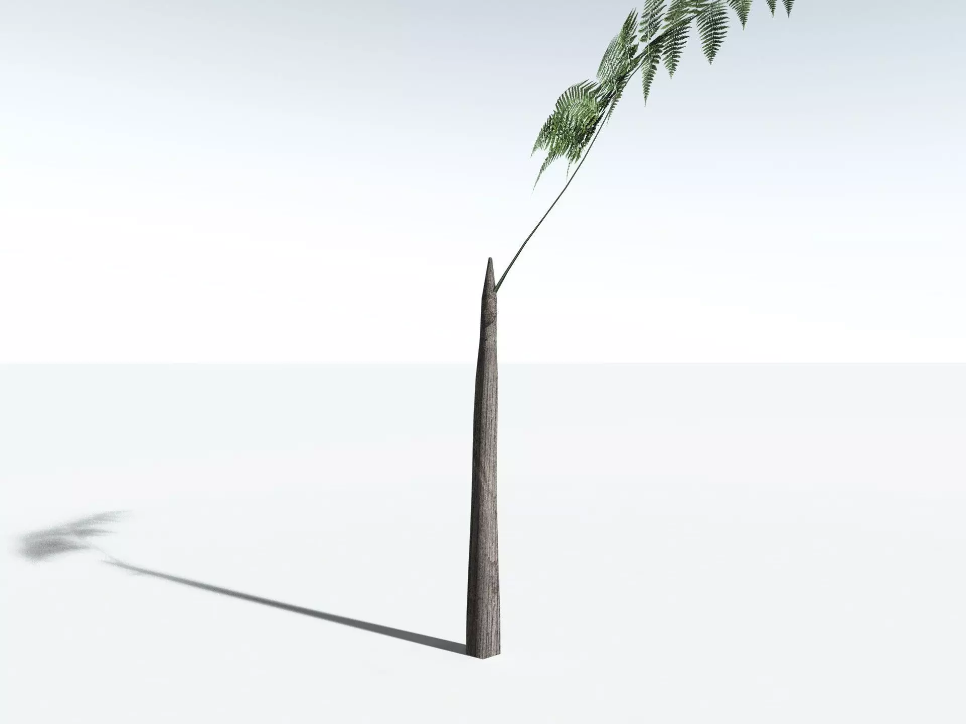 EVERYPlant Black Tree Fern LowPoly Low-poly 3D model_27