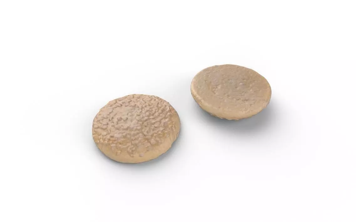 Cockie M02 Low-poly 3D model_0