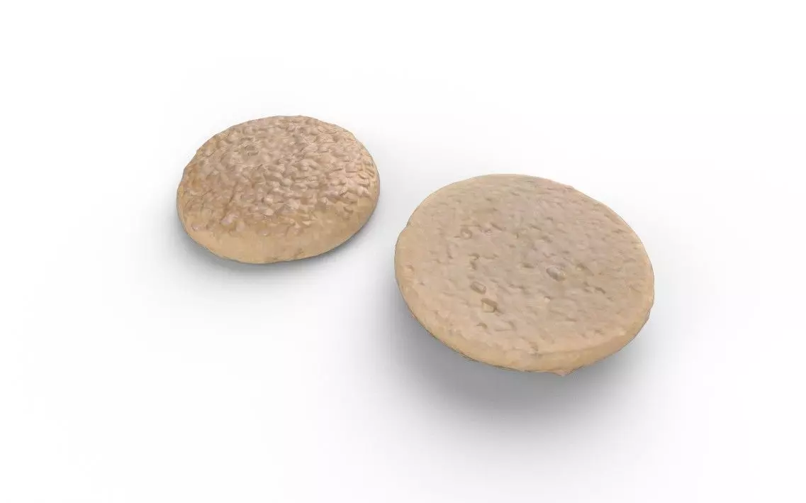 Cockie M02 Low-poly 3D model_3