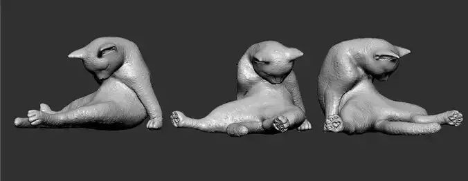Grooming Cat Realistic 3D Printable Model