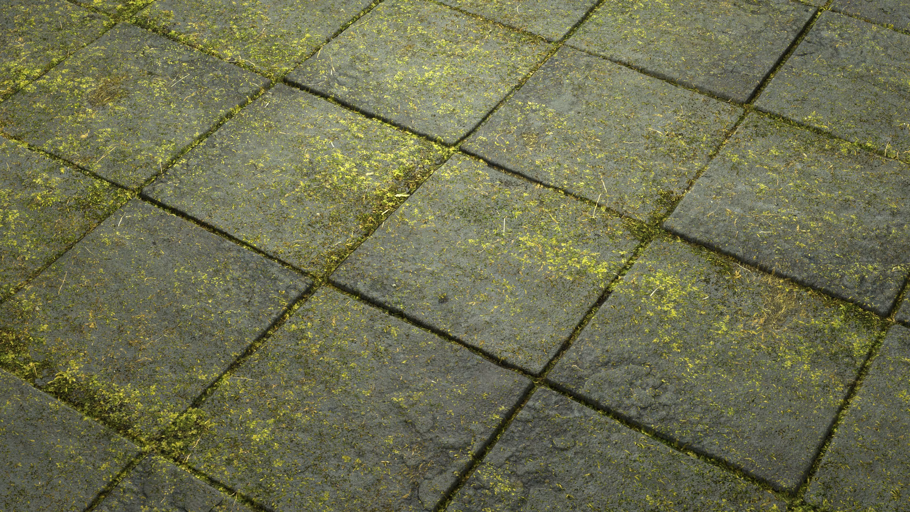 Mossy Pavement 8K PBR Texture Texture_6