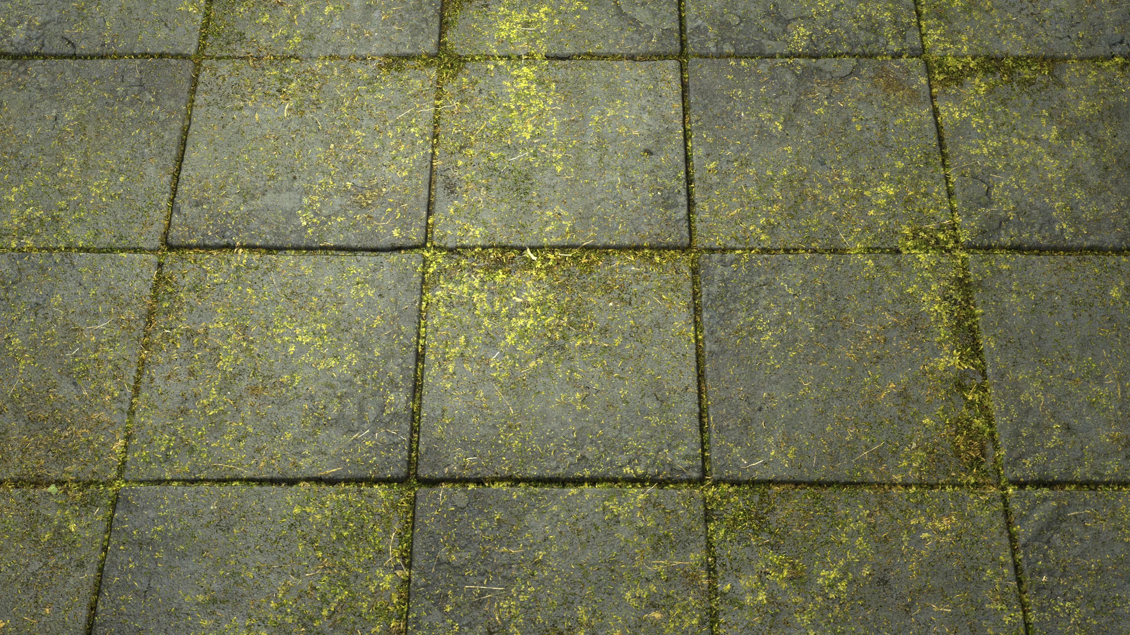 Mossy Pavement 8K PBR Texture Texture_3