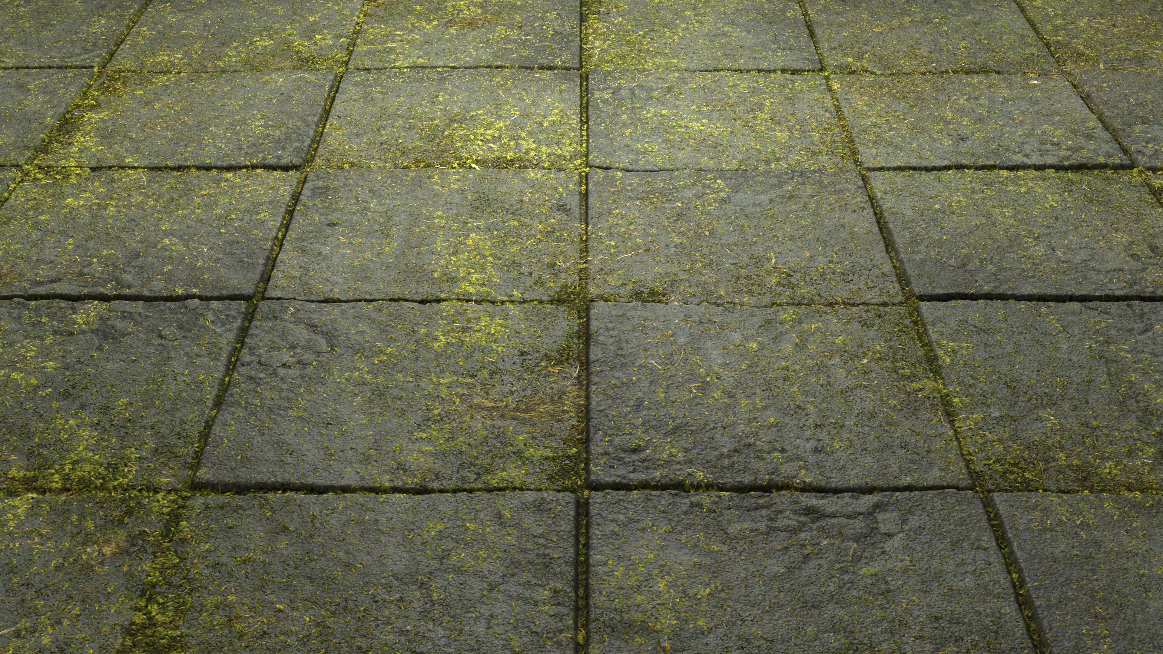 Mossy Pavement 8K PBR Texture Texture_5