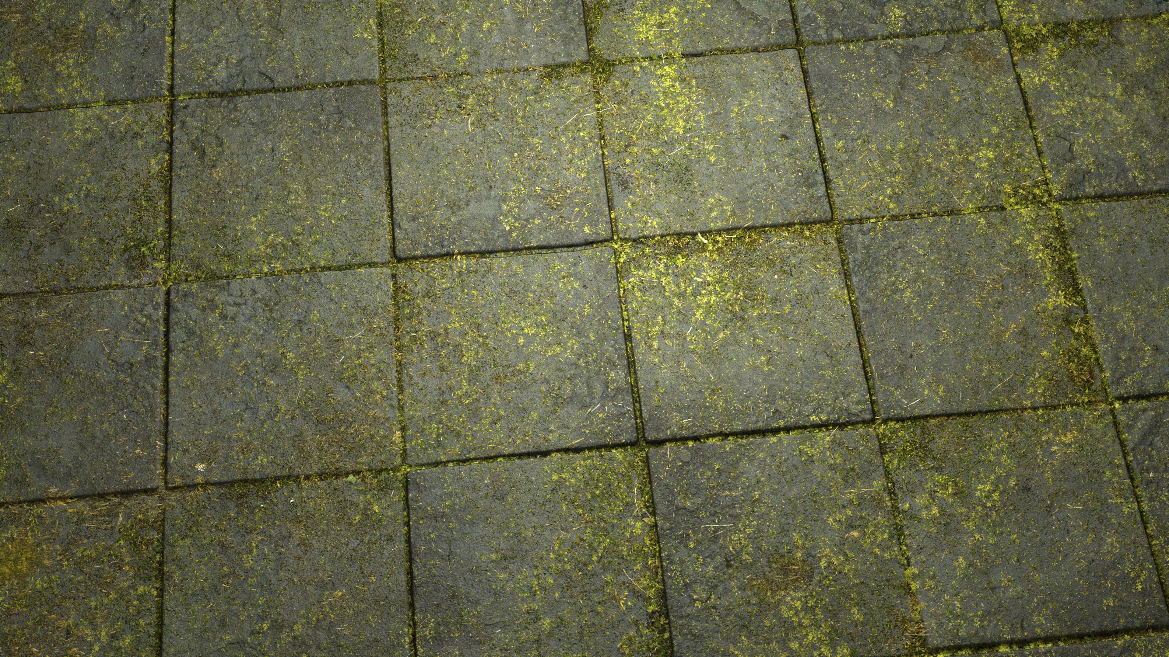 Mossy Pavement 8K PBR Texture Texture_8