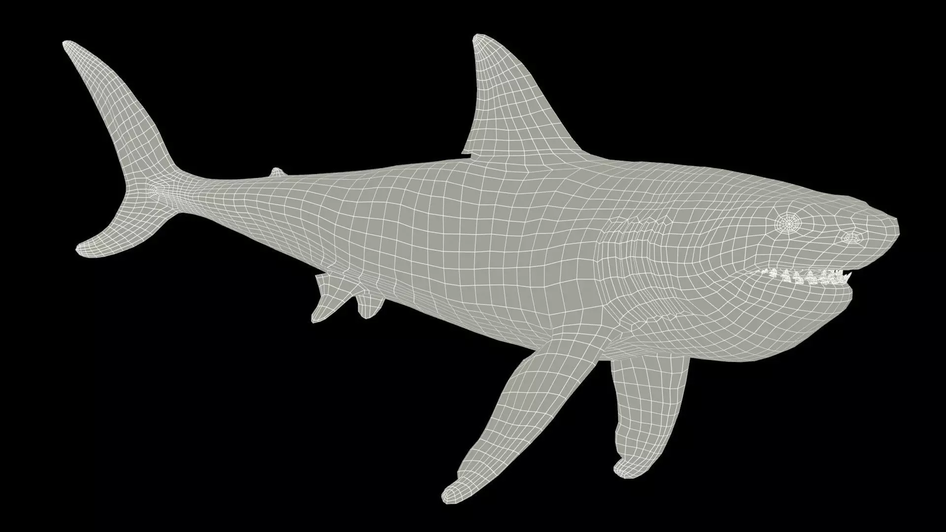 Megalodon Low-poly 3D model_6