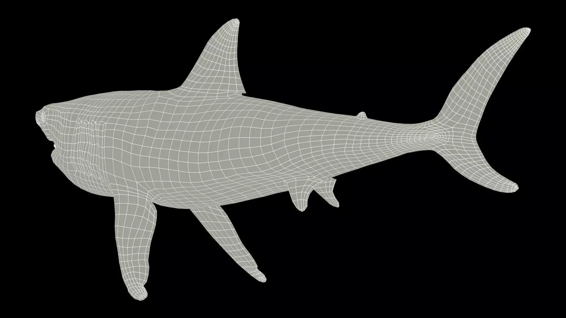 Megalodon Low-poly 3D model_7