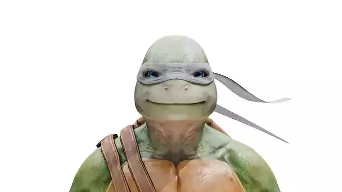 Leonardo - TMNT