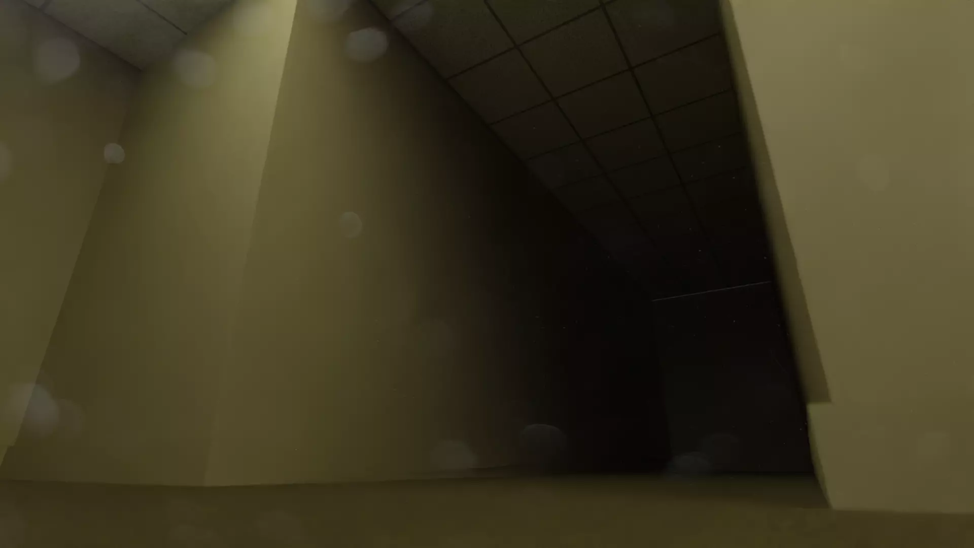 Backrooms Level Zero 3D model_3