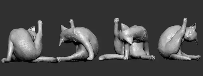 Grooming Cat  Realistic 3D Printable Model