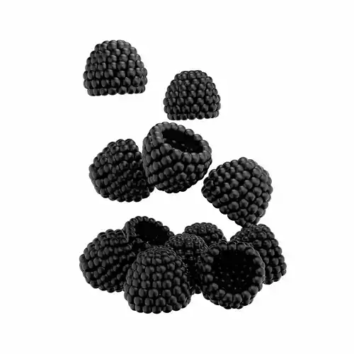 Blackberry 3D model 2