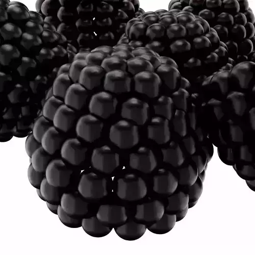 Blackberry 3D model 4