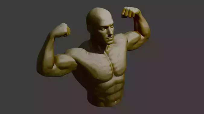 Bodybuilding  3D print model