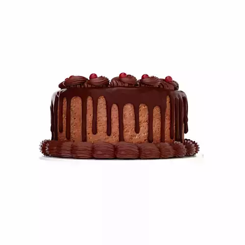 Chocolate cake 3D model 4