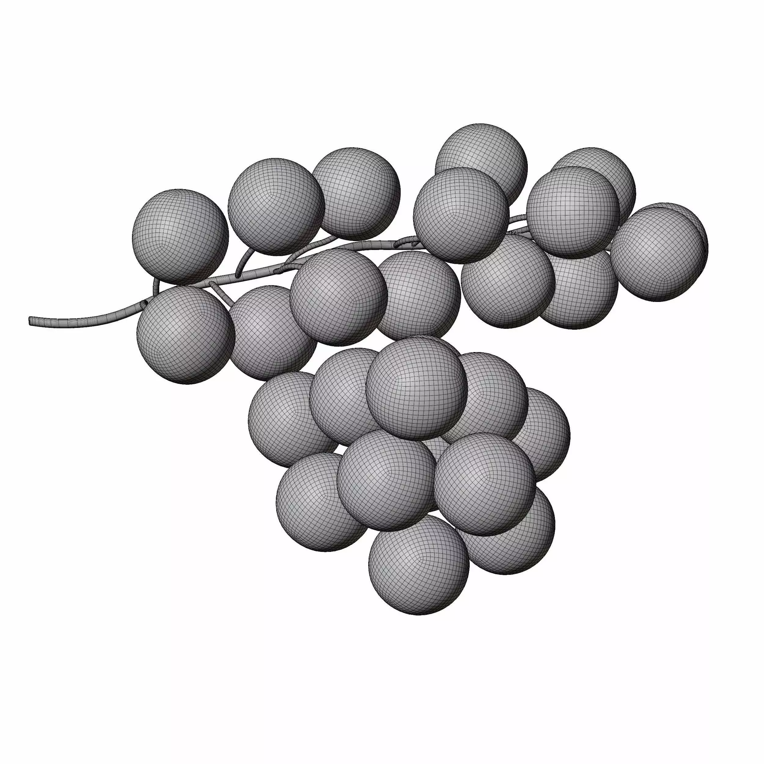 Red Currant 3D model_4