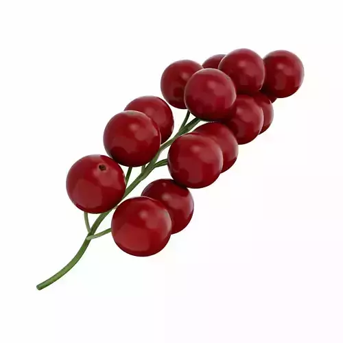 Red Currant