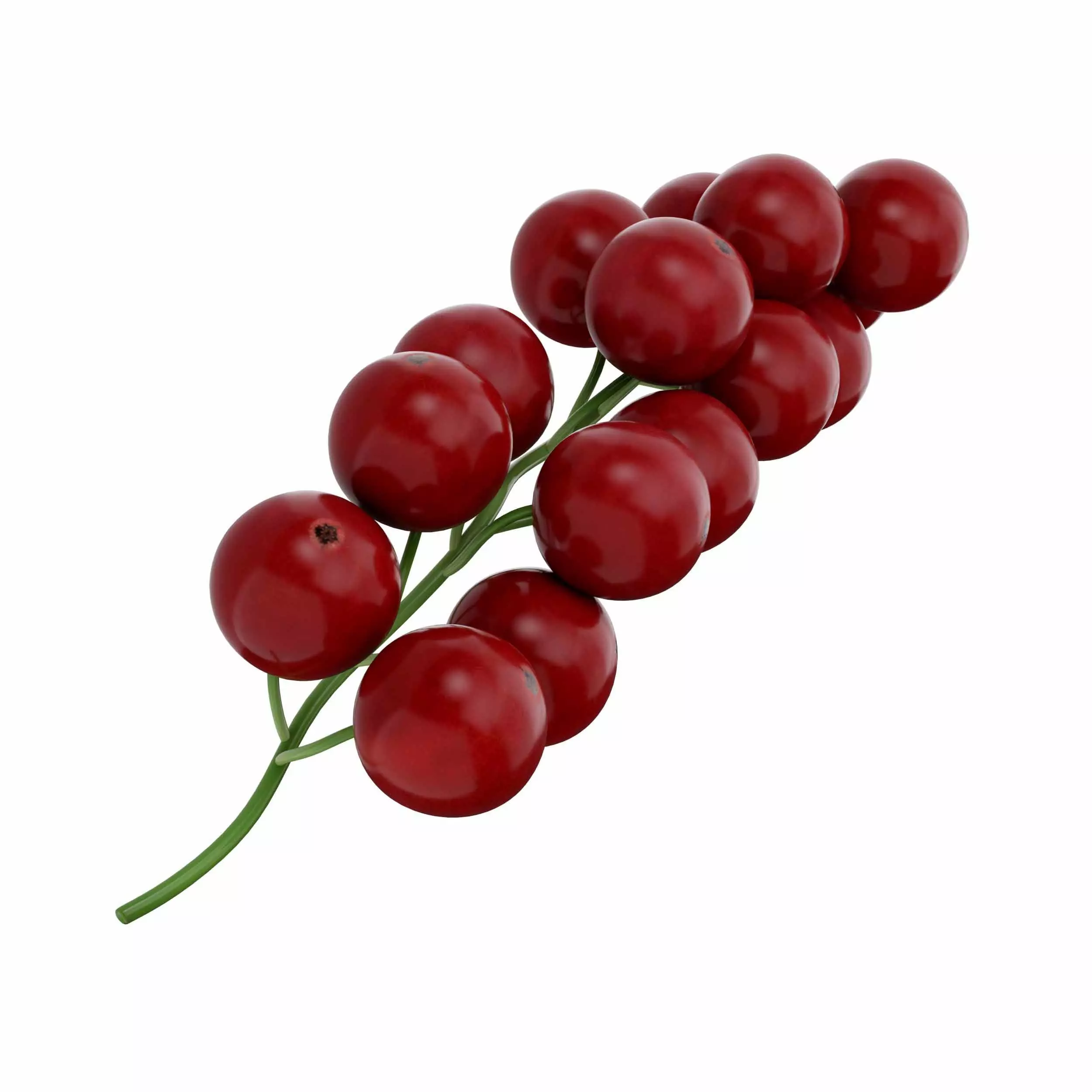 Red Currant 3D model_0