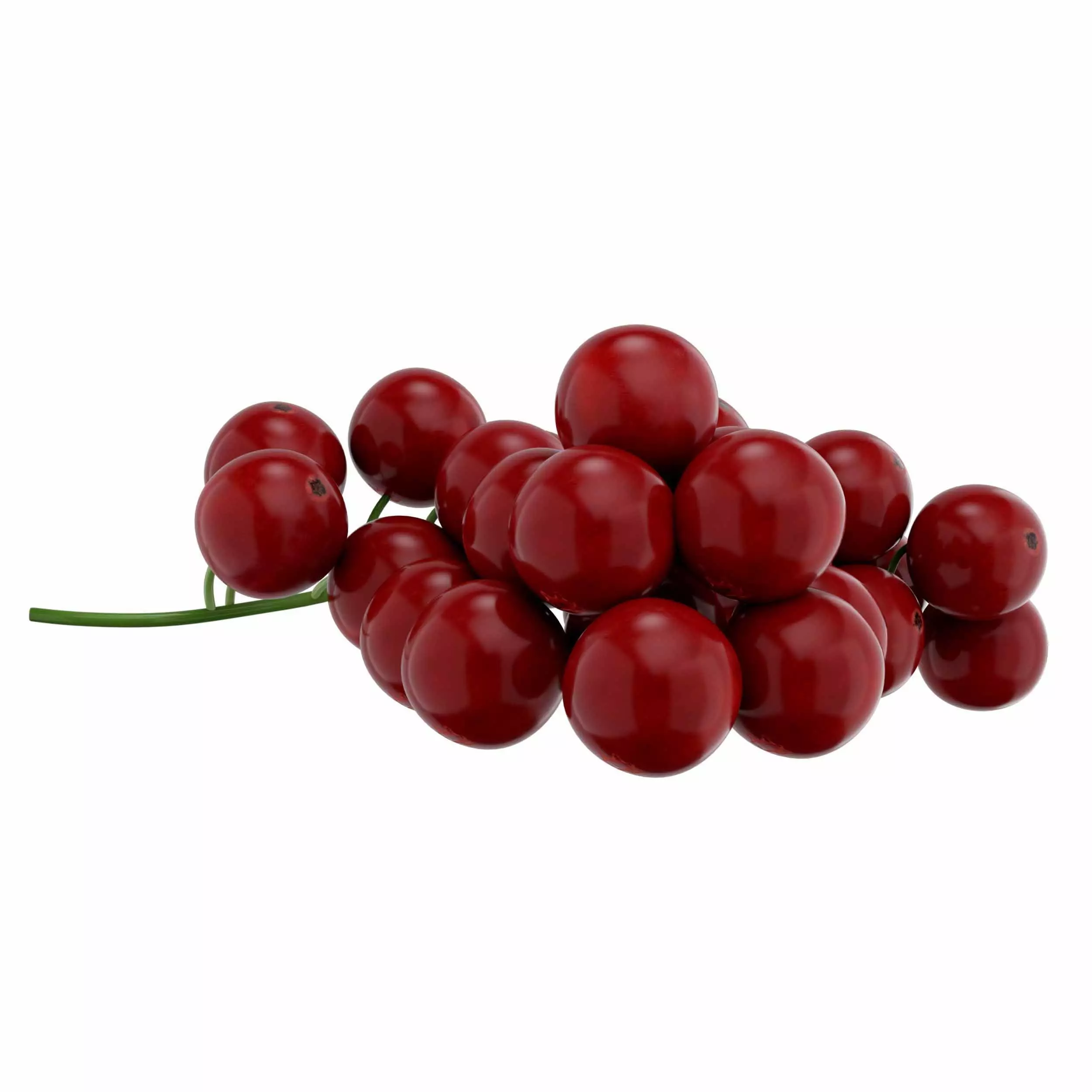 Red Currant 3D model_2